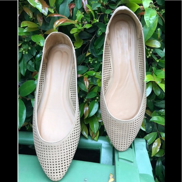 New Classic Ballet Flat last one size 8 - Picture 5 of 6